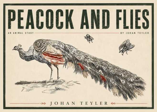 Johan Teyler Peacock and Flies - Animal Study No5 - Juliste