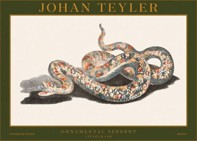 Johan Teyler Ornamental Serpent No1 - Juliste