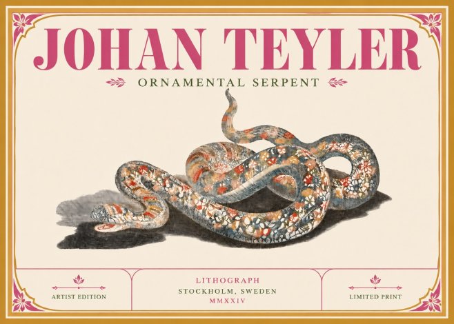 Johan Teyler Ornamental Serpent No6 - Juliste