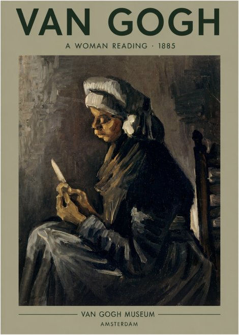 Van Gogh A Woman Reading No3 - Juliste