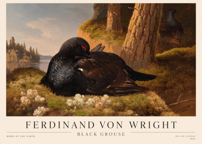 Ferdinand von Wright The Black Grouse No3 - Juliste