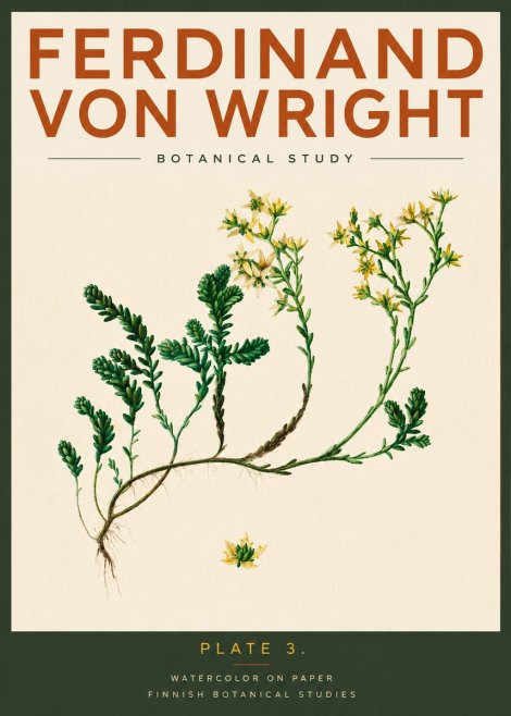 Ferdinand von Wright Botanical Study No2 - Juliste