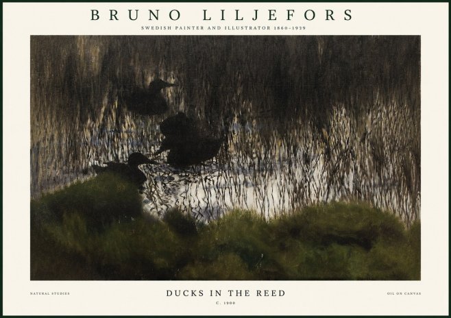 Bruno Liljefors Ducks in the Reed No1 - Juliste
