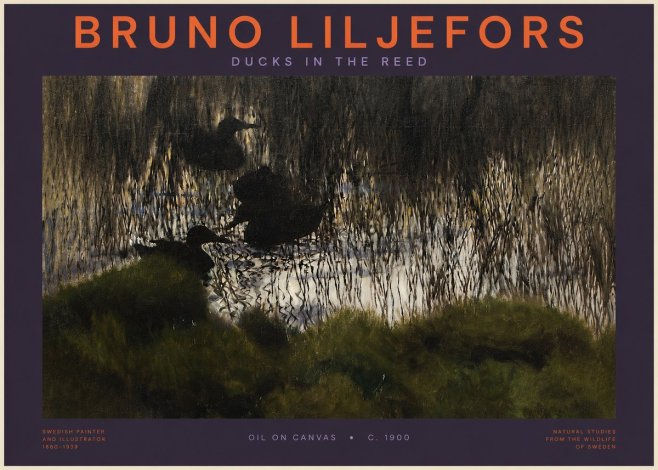 Bruno Liljefors Ducks in the Reed No2 - Juliste