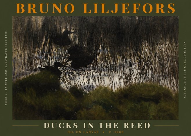Bruno Liljefors Ducks in the Reed No3 - Juliste