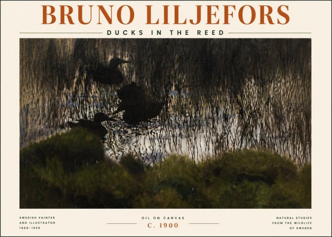 Bruno Liljefors Ducks in the Reed No5 - Juliste