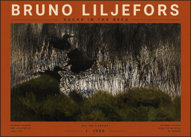 Bruno Liljefors Ducks in the Reed No6 - Juliste