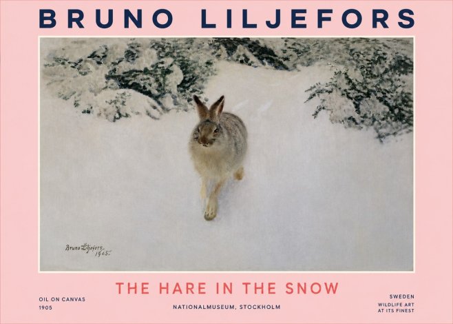 Bruno Liljefors The Hare in the Snow No3 - Juliste