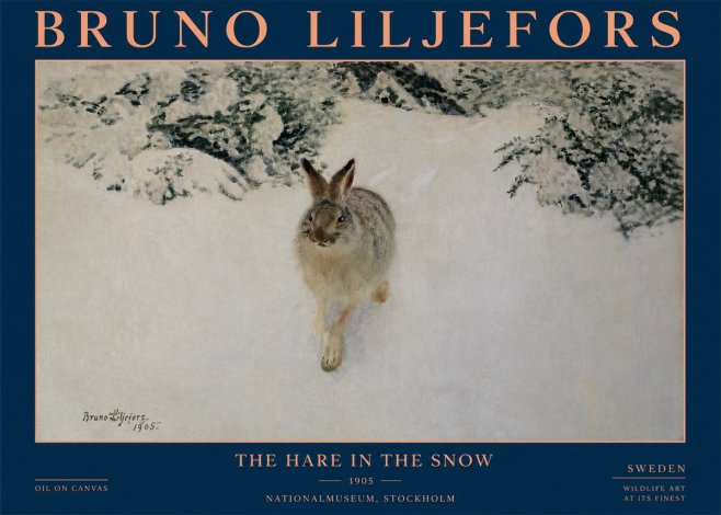 Bruno Liljefors The Hare in the Snow No4 - Juliste