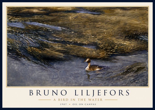 Bruno Liljefors A Bird in the Water No6 - Juliste