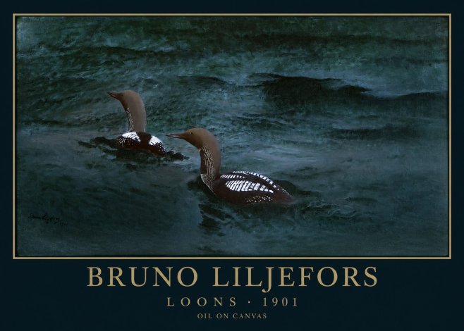 Bruno Liljefors Loons · 1901 No1 - Juliste