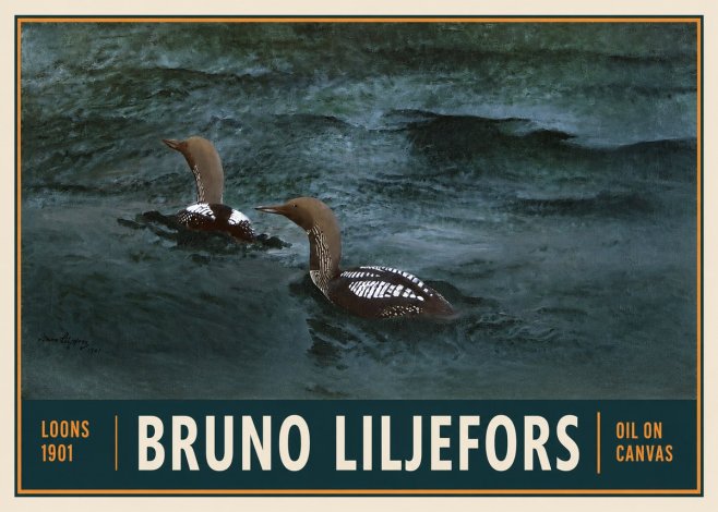 Bruno Liljefors Loons · 1901 No2 - Juliste