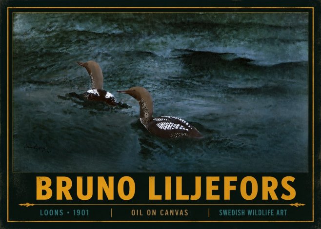 Bruno Liljefors Loons · 1901 No4 - Juliste