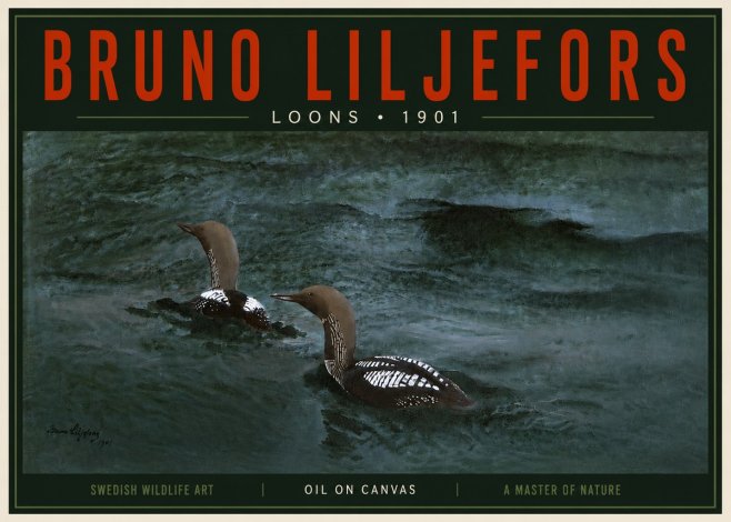 Bruno Liljefors Loons · 1901 No5 - Juliste
