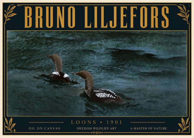 Bruno Liljefors Loons · 1901 No6 - Juliste