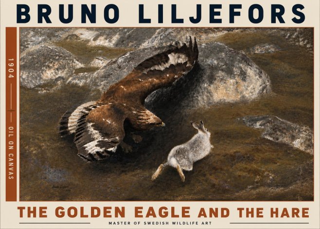 Bruno Liljefors The Golden Eagle and the Hare, 1904 No6 - Juliste