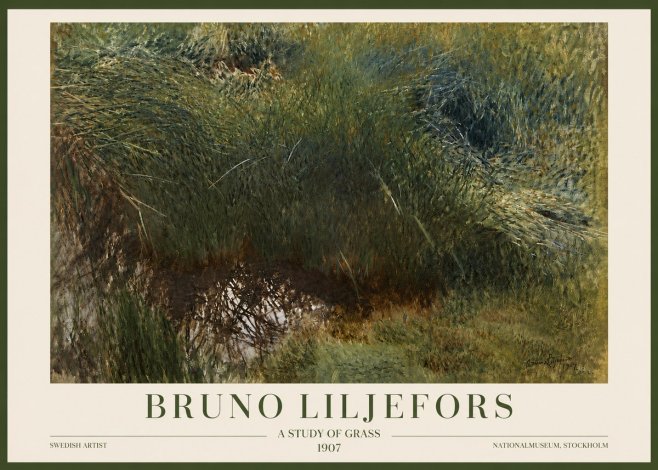 Bruno Liljefors A Study of Grass No3 - Juliste
