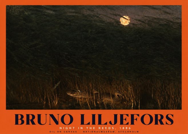 Bruno Liljefors Night in the Reeds No2 - Juliste