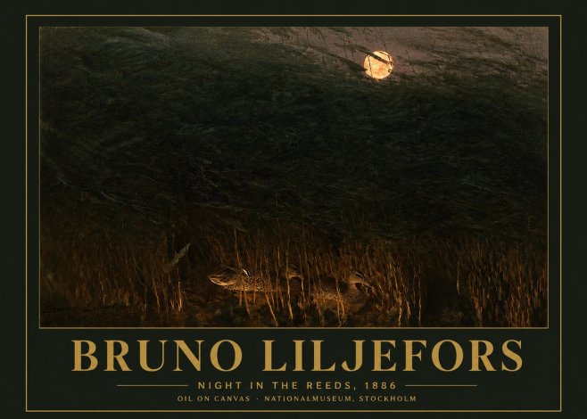 Bruno Liljefors Night in the Reeds No3 - Juliste