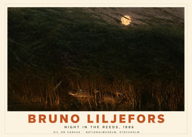 Bruno Liljefors Night in the Reeds No4 - Juliste