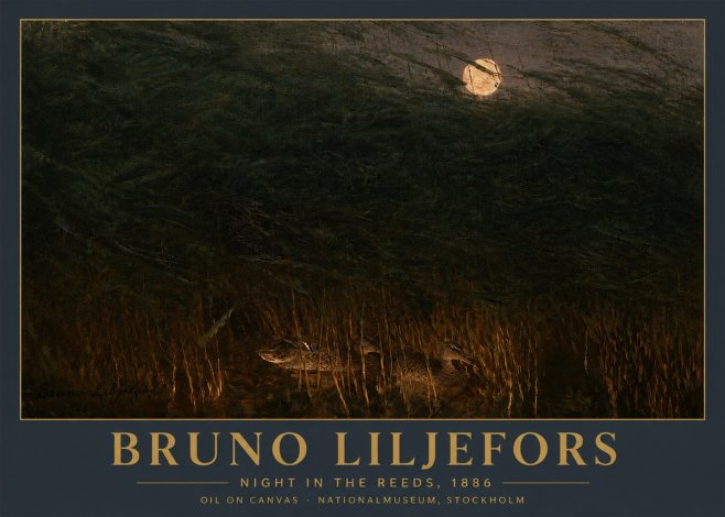 Bruno Liljefors Night in the Reeds No5 - Juliste