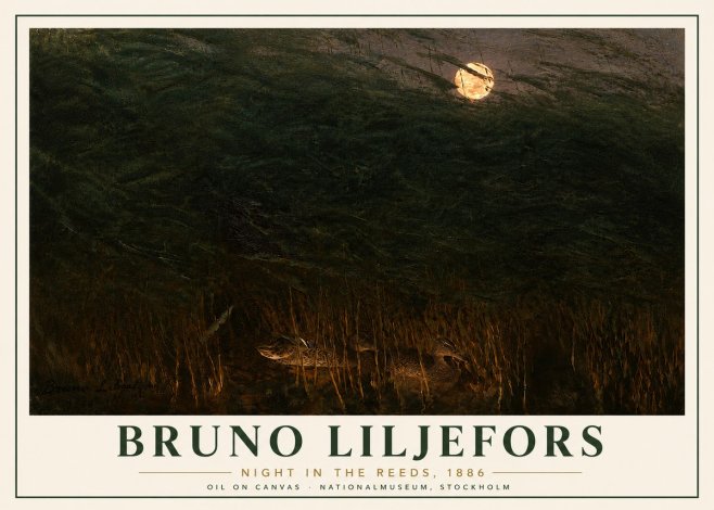 Bruno Liljefors Night in the Reeds No6 - Juliste