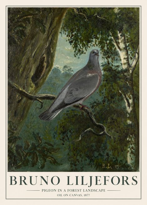 Bruno Liljefors Pigeon in a Forest Landscape No1 - Juliste