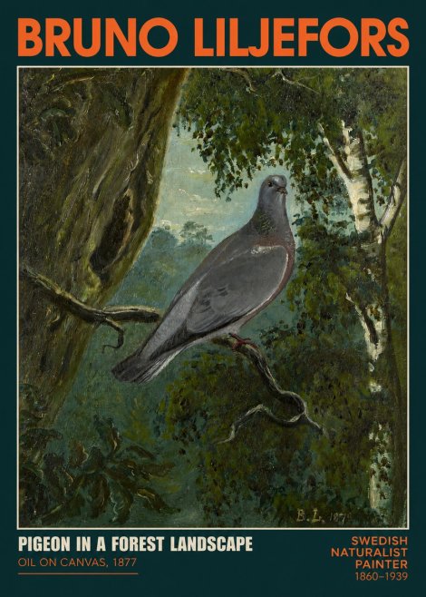 Bruno Liljefors Pigeon in a Forest Landscape No2 - Juliste