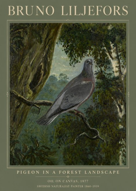 Bruno Liljefors Pigeon in a Forest Landscape No3 - Juliste