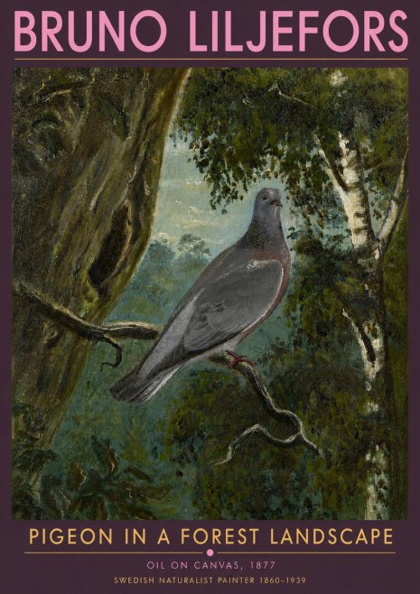 Bruno Liljefors Pigeon in a Forest Landscape No5 - Juliste