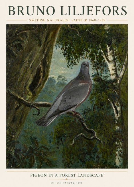 Bruno Liljefors Pigeon in a Forest Landscape No6 - Juliste