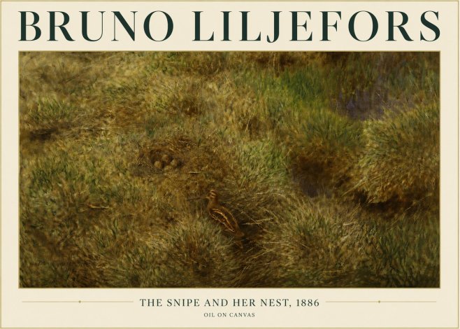 Bruno Liljefors The Snipe and Her Nest No3 - Juliste