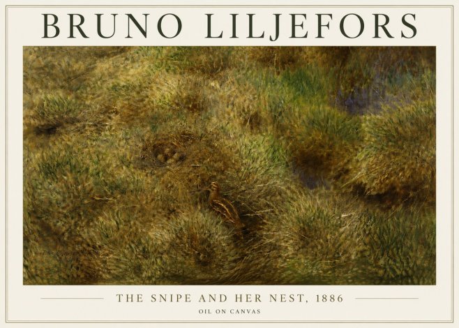 Bruno Liljefors The Snipe and Her Nest No5 - Juliste