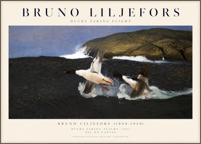 Bruno Liljefors Ducks Taking Flight No1 - Juliste