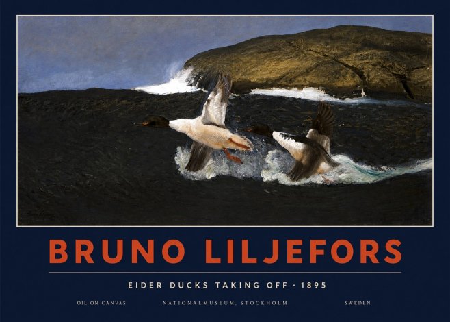 Bruno Liljefors Ducks Taking Flight No4 - Juliste