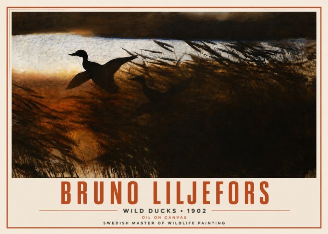 Bruno Liljefors Wild Ducks II No4 - Juliste