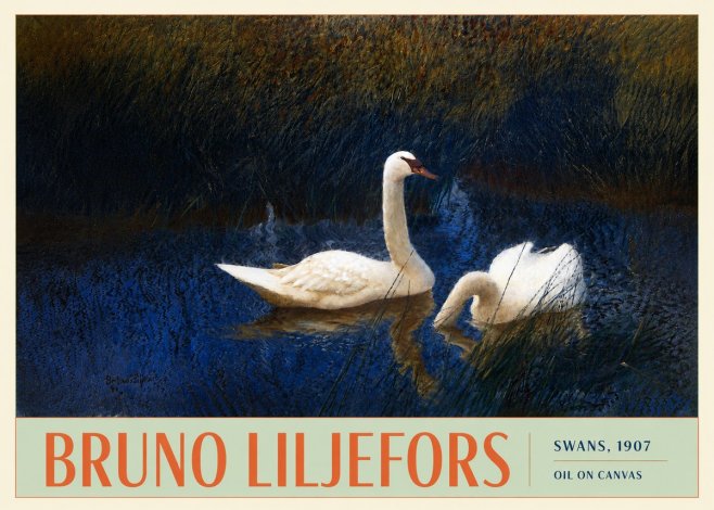 Bruno Liljefors Swans, 1907 No3 - Juliste