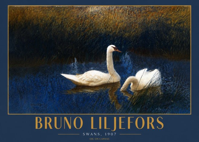 Bruno Liljefors Swans, 1907 No4 - Juliste