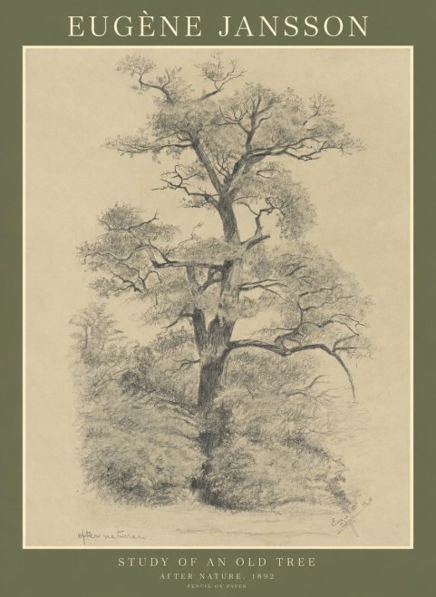 Eugène Jansson Study of an Old Tree No1 - Juliste