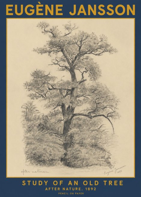 Eugène Jansson Study of an Old Tree No2 - Juliste