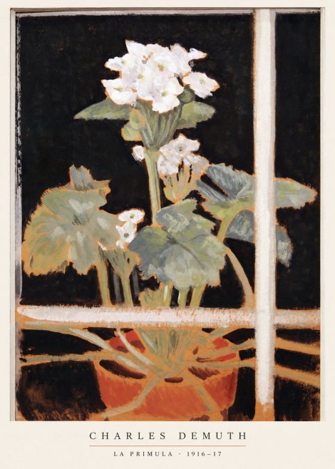 Charles Demuth La Primula No6 - Juliste