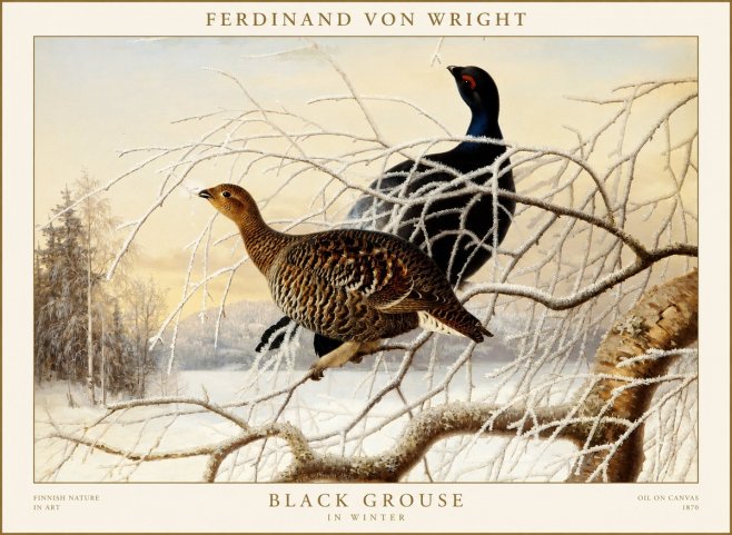 Ferdinand von Wright Black Grouse in Winter No1 - Juliste