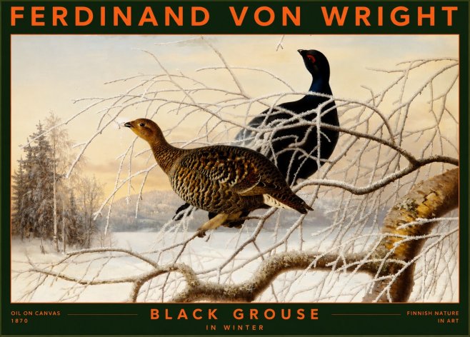 Ferdinand von Wright Black Grouse in Winter No2 - Juliste