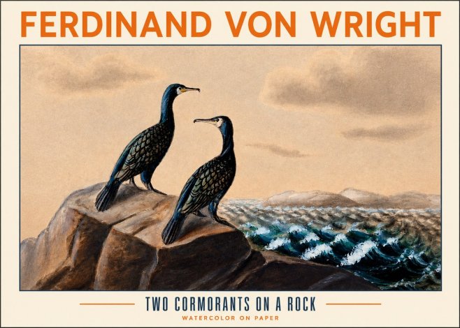 Ferdinand von Wright Two Cormorants on a Rock No2 - Juliste