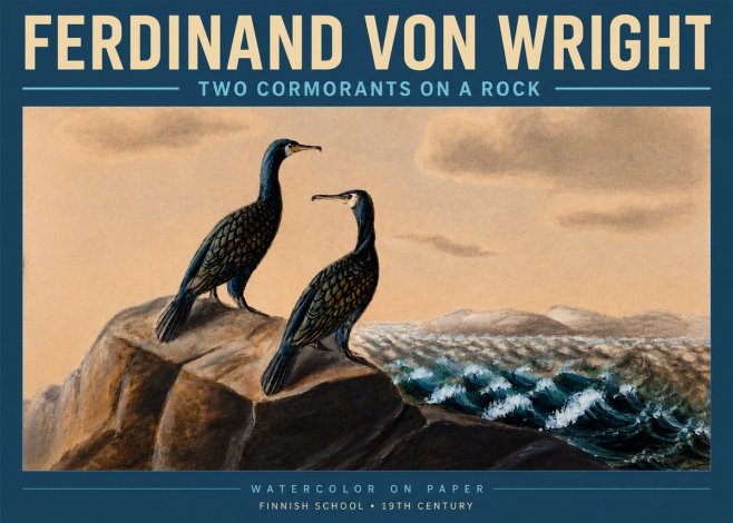 Ferdinand von Wright Two Cormorants on a Rock No3 - Juliste