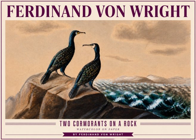 Ferdinand von Wright Two Cormorants on a Rock No4 - Juliste