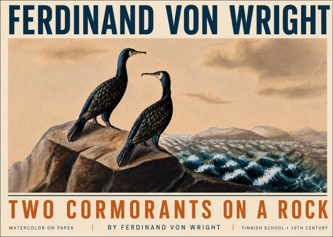 Ferdinand von Wright Two Cormorants on a Rock No5 - Juliste