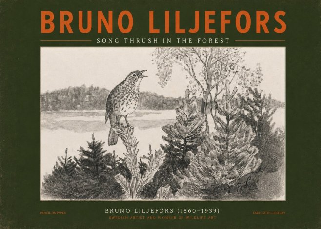 Bruno Liljefors Song Thrush in the Forest No2 - Juliste