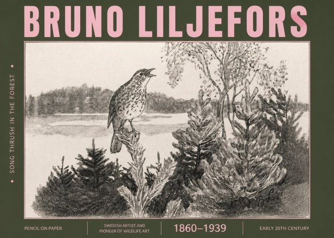 Bruno Liljefors Song Thrush in the Forest No4 - Juliste