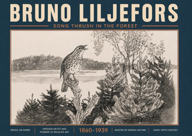 Bruno Liljefors Song Thrush in the Forest No6 - Juliste